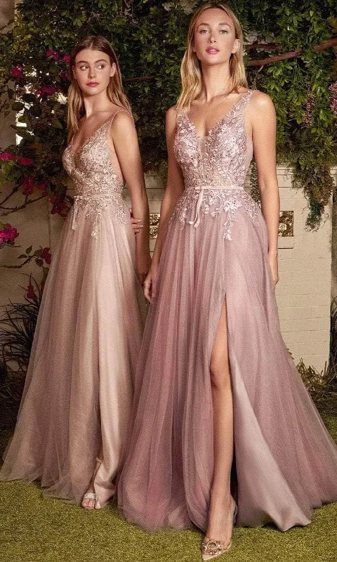 Don't Miss Andrea and Leo A1045C - Embroidered Tulle Prom Dress
